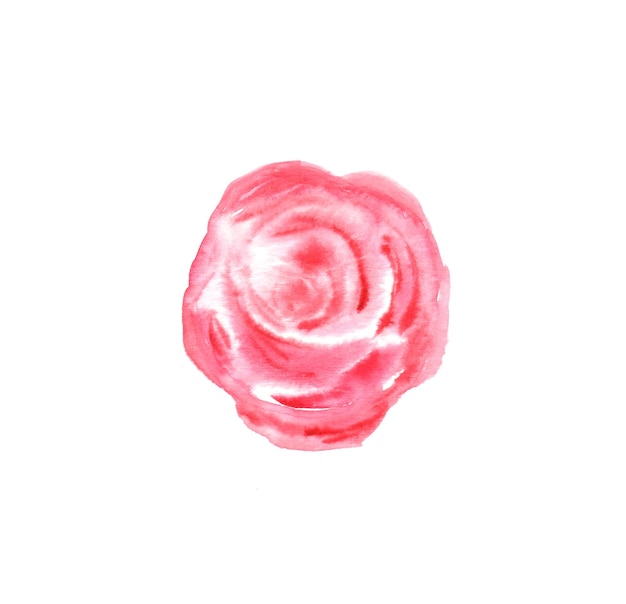 Aquarell handgemalte Illustration der Rosenblüte