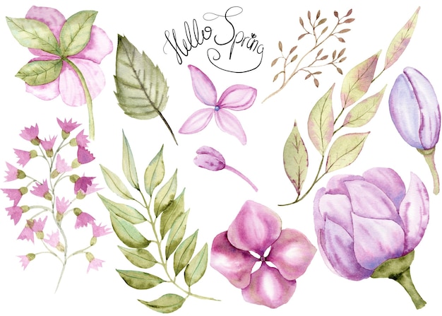 Aquarell handgezeichnete florale Sommerillustration