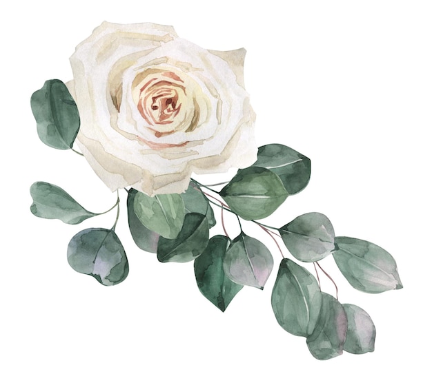 Aquarell handgezeichnete weiße Rose und Eukalyptus-Bouquet Perfekt für Einladungen und soziale Medien