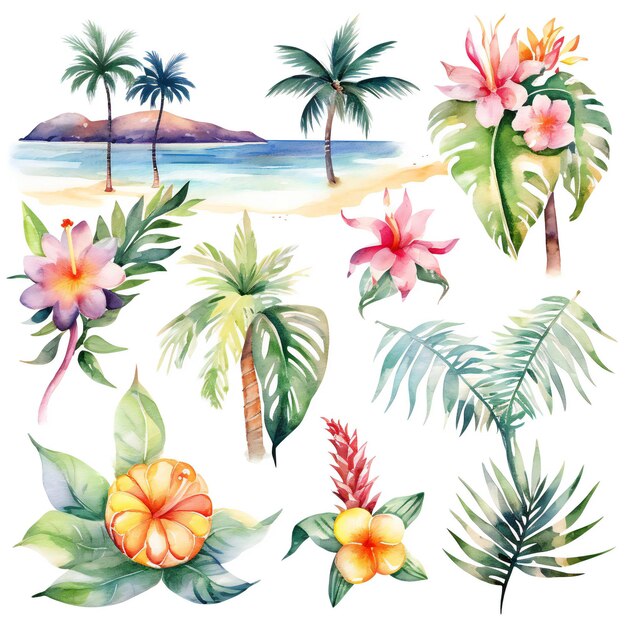 Foto aquarell hawaii art collection auf weißem hintergrund