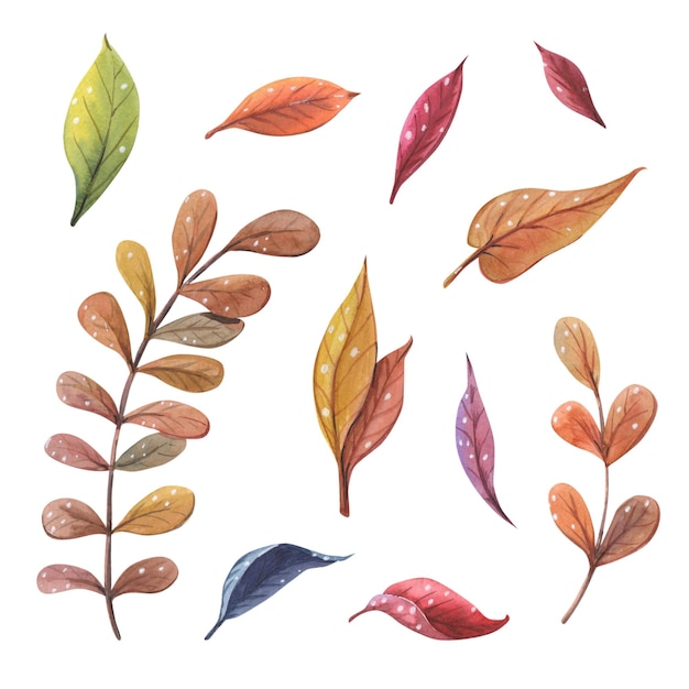 Aquarell Herbstlaub Herbst llustration Izolated auf weißem Hintergrund