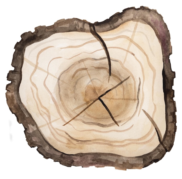 Aquarell Holzrunde Scheibe eines Baumes Hand gemaltes isoliertes Element Natürlicher Wald Illustration für Designdruck stationäre Grußtapete
