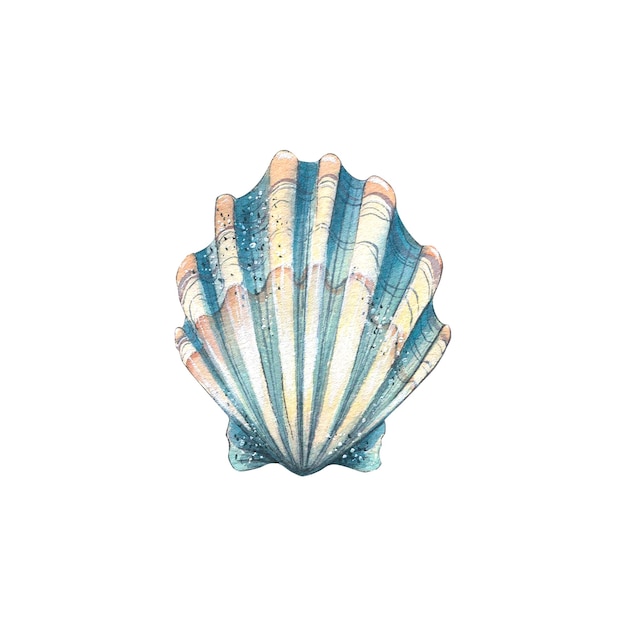 Foto aquarell-illustration eines isolierten objekts mit blauer schale auf weißem hintergrund bunte, schöne unterwasserwelt für die gestaltung von postkarten, plakaten, aufklebern, mustern