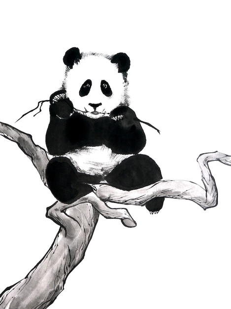 Aquarell-Illustration eines Pandas, der auf einem Baum sitzt. Traditionelle chinesische Tusche- und Waschmalerei