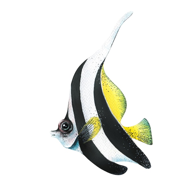 Aquarell-Illustration eines tropischen Meeresfisches isoliert Helles Korallenaquarium blau Für Designdekoration Poster Postkarten druckt Illustrationen