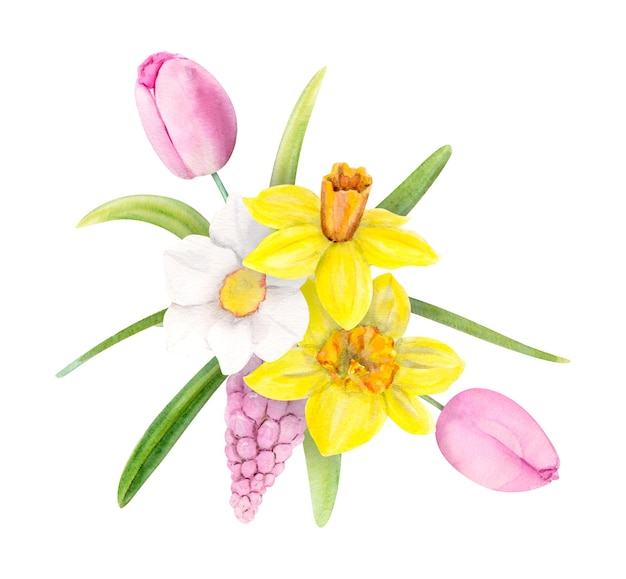 Aquarell Illustration Frühlingsstrauß mit Narzissen Tulpen Muscari und Blättern