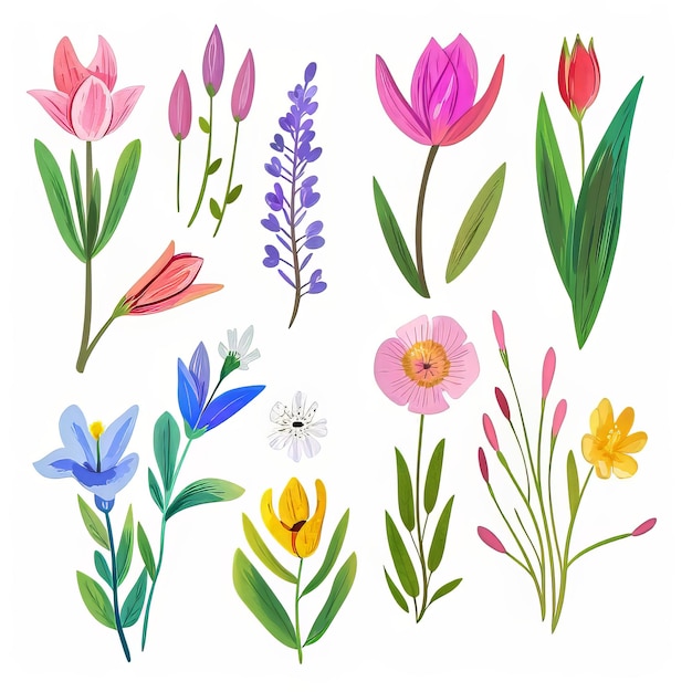 Aquarell-Illustration von Frühlingsblumen