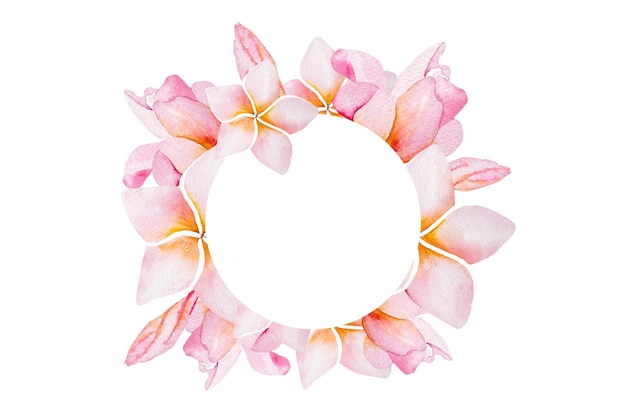 Aquarell-Illustrationsrahmen von Plumeria-Blumen Plumeria-Blumen