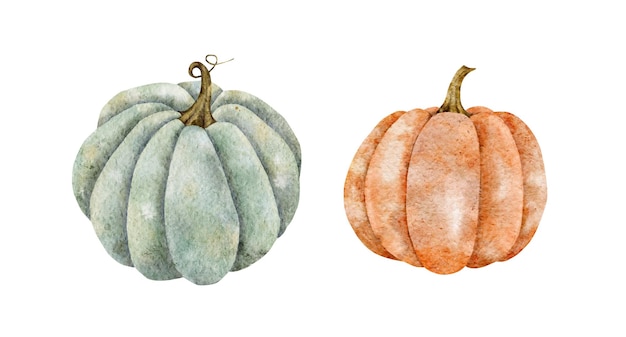 Aquarell-Kürbisse Herbstillustration isoliert auf dem weißen Hintergrundkranz Perfekt für den Druck von Kartenmenü-Einladungsetiketten