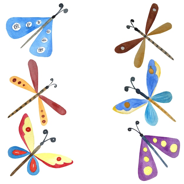 Aquarell Libellen Schmetterlinge Motten auf weißem Hintergrund isoliert Rasterillustrationsarbeiten