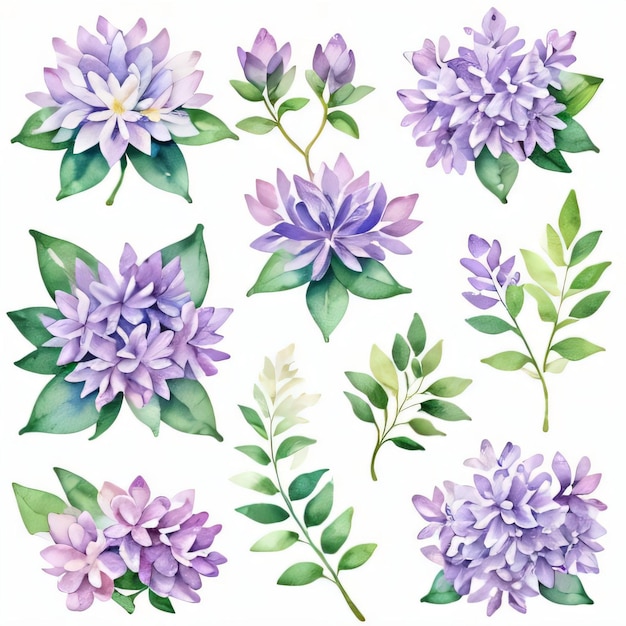 Aquarell Lila Blüten Clipart