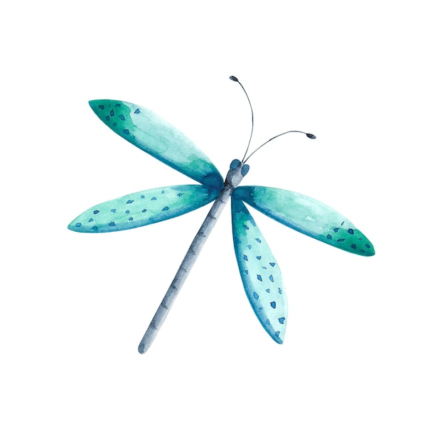 Aquarell mintgrüne und blaue Libelle Illustration