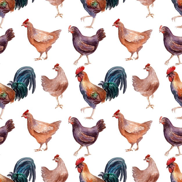 Aquarell Musterdesign mit Geflügel, Hühnern, Hähnen und Eiern