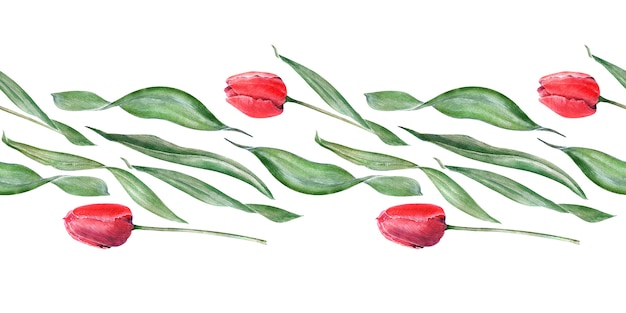 Aquarell nahtlose Grenze mit eleganten roten Tulpen. Knospen, Blüten und Blätter