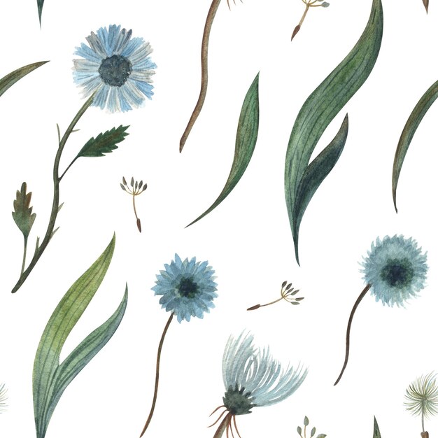 Aquarell nahtlose Musterillustration eines wilden blauen Blumen Löwenzahns und Flaumpflanze und Gras