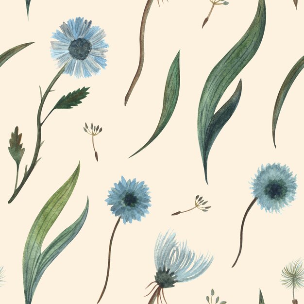 Aquarell nahtlose Musterillustration eines wilden blauen Blumen Löwenzahns und Flaumpflanze und Gras