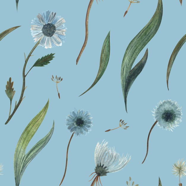 Aquarell nahtlose Musterillustration eines wilden blauen Blumen Löwenzahns und Flaumpflanze und Gras