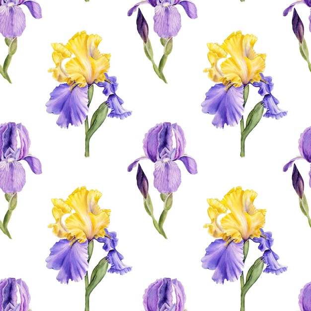 Foto aquarell nahtloses muster mit blauen und gelben irisblumen