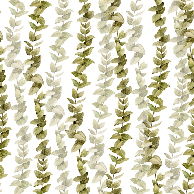 Aquarell nahtloses Muster mit Eukalyptusblättern auf weißem Hintergrund Vintage handgezeichneter botanischer Druck