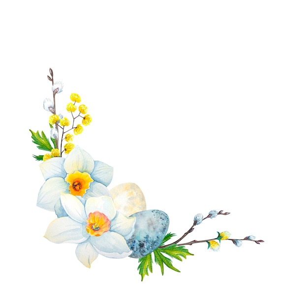 Aquarell Narzissenblüten mit Eiern Handgezeichnete Illustrationen auf weißem Hintergrund Osterkollektion