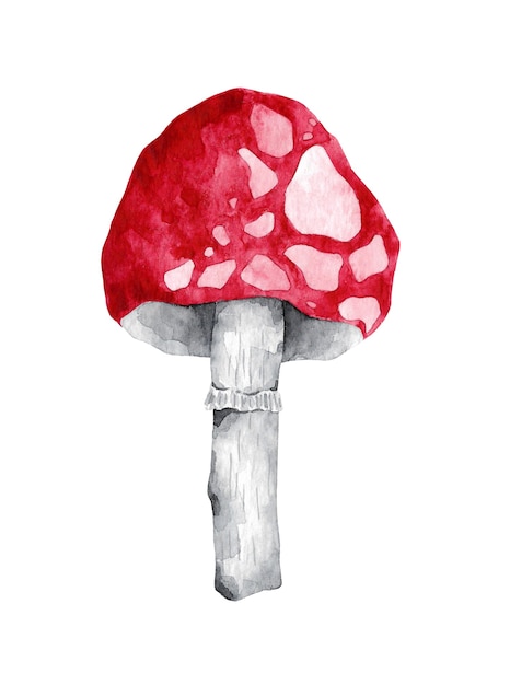 Aquarell Pilz ClipArt isoliert auf weiss