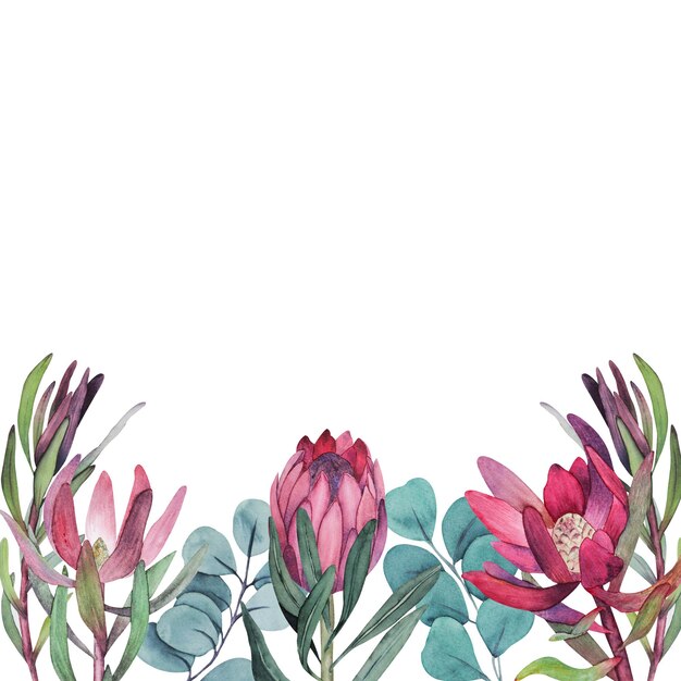 Aquarell Protea und Eukalyptus Hochzeit Illustration Cliparts