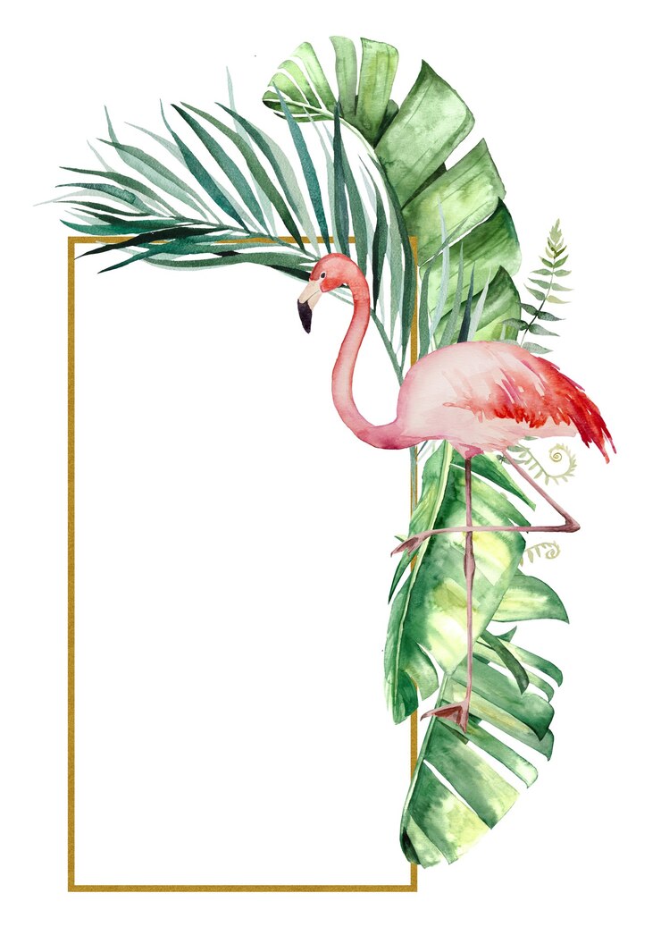 Foto aquarell rosa flamingo, tropische blätter und blumen rahmen isolierte illustration für hochzeit stationär, grüße, tapeten, mode, poster poster