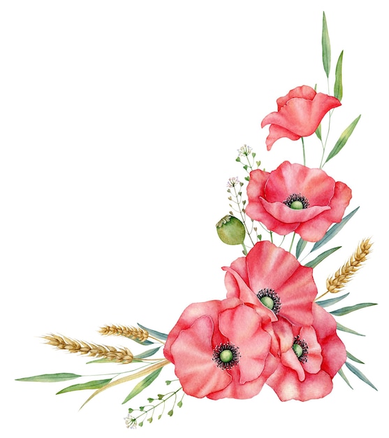 Aquarell roter Mohnblumenstrauß handgezeichnete florale Illustration rote Wildblumen isoliert auf weißem Hintergrund