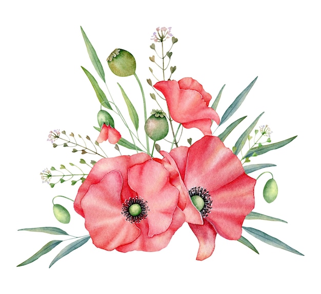 Aquarell roter Mohnblumenstrauß handgezeichnete florale Illustration rote Wildblumen isoliert auf weißem Hintergrund