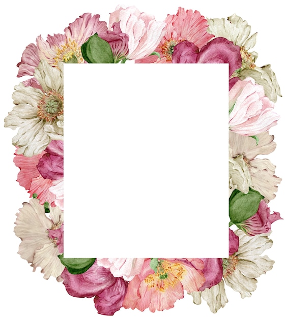 Aquarell schöner rosa und beige Mohnblumenrahmen auf weißem Hintergrund