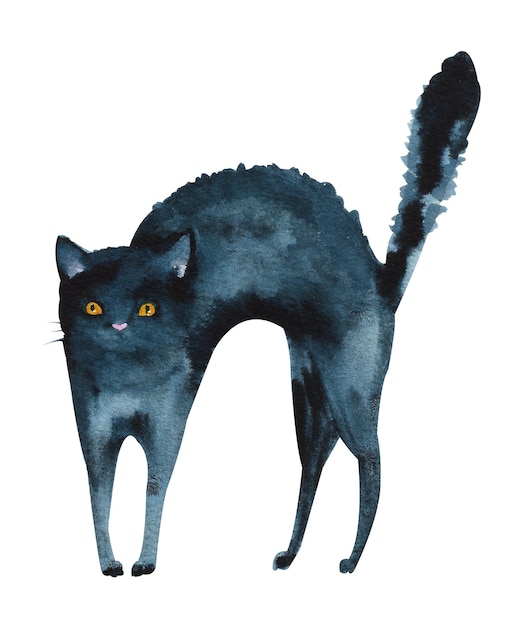 Aquarell schwarze Katze Wütende schwarze Katze in einer Kampfpose