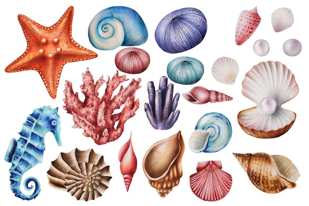 Aquarell-Set mit Korallen, Seeigeln, Pferden und Muscheln. Handgemaltes Clipart-Unterwasserlebensobjekt