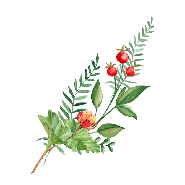 Aquarell-Sommerstrauß aus Moltebeeren, grünen Zweigen, roten Beeren, botanische handgezeichnete Illustration