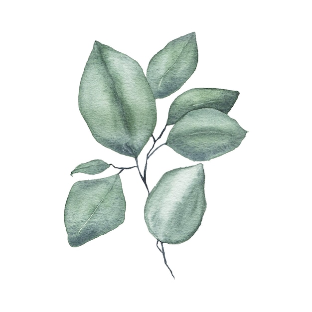 Aquarell tropisches Grün Blumenblatt Pflanze Waldkraut Frühling