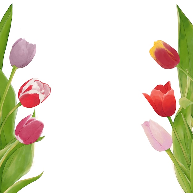 Aquarell Tulpen Hintergrund