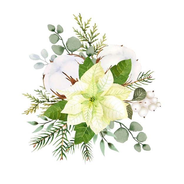 Aquarell weihnachtsblumen Arrangement Weiße Weihnachtssternzweige aus Fichte und Wintergrün