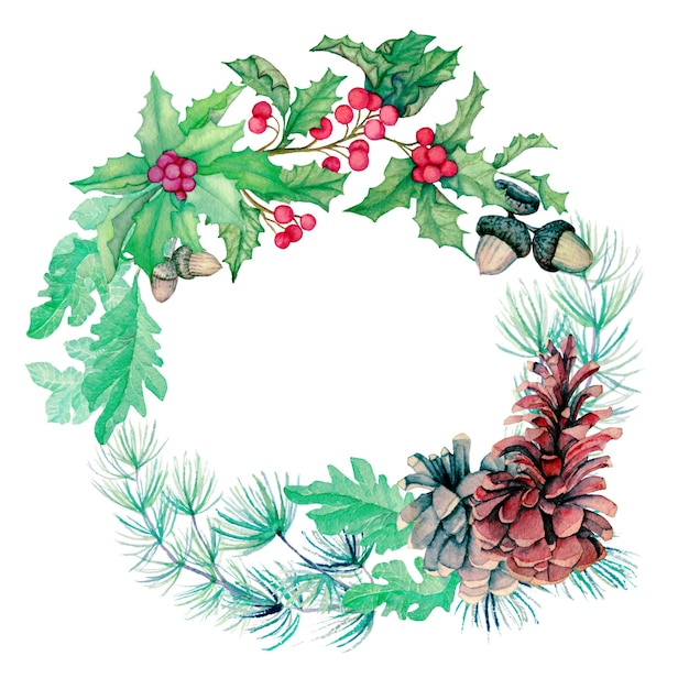 Foto aquarell weihnachtsstern stechpalme eichel kiefernnadeln weihnachtskranz zweig isolierte illustration auf weißem hintergrund clipart für design oder druck