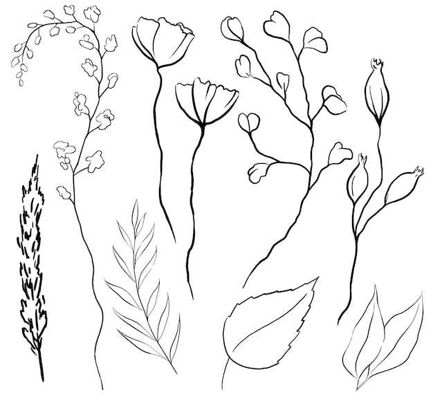 Aquarell Wildblumen und Blätter schwarze Konturen isolierte Illustration Hochzeitsbriefe