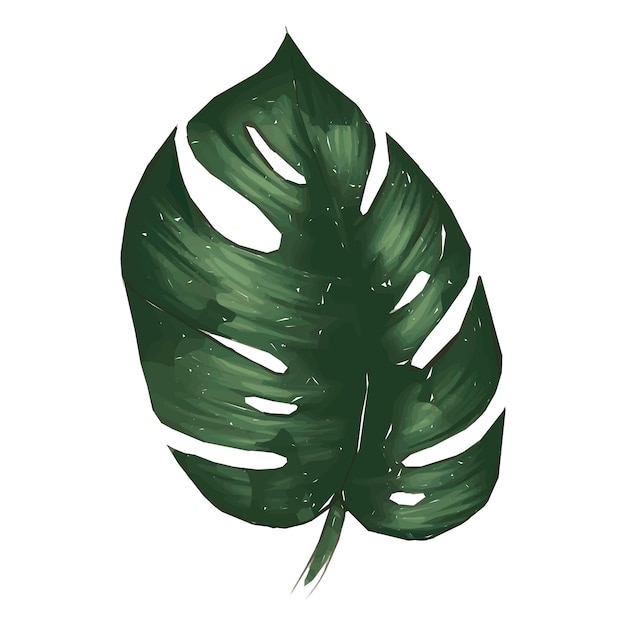 Aquarellblatt png-Illustration durchsichtiger Hintergrund
