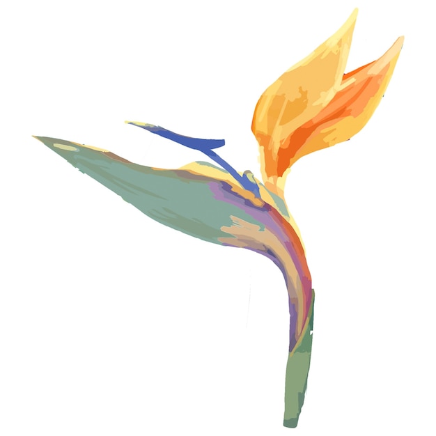 Aquarellblume png Paradiesvogel durchsichtiger Hintergrund