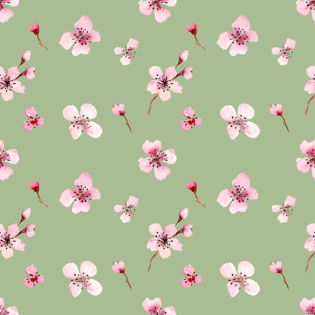 Aquarellblumen-Nachlässigkeitsmuster Kirschblütenblüten Handzeichnung Hintergrund Frühlingssakura-Blüten