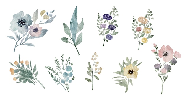Aquarellblumen-Satz Sammlung von Wildblumen, Blättern und Zweigen, handgemalt