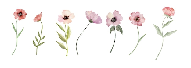 Aquarellblumen-Satz Sammlung von Wildblumen, Blättern und Zweigen, handgemalt