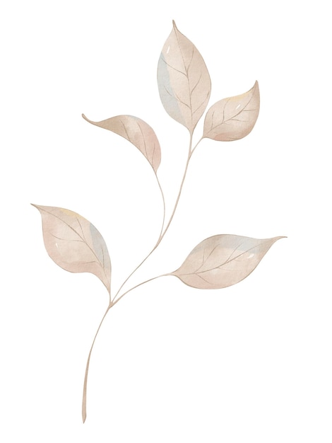 Aquarellblumenillustration eines im Winter gefrorenen Zweigs mit Blättern