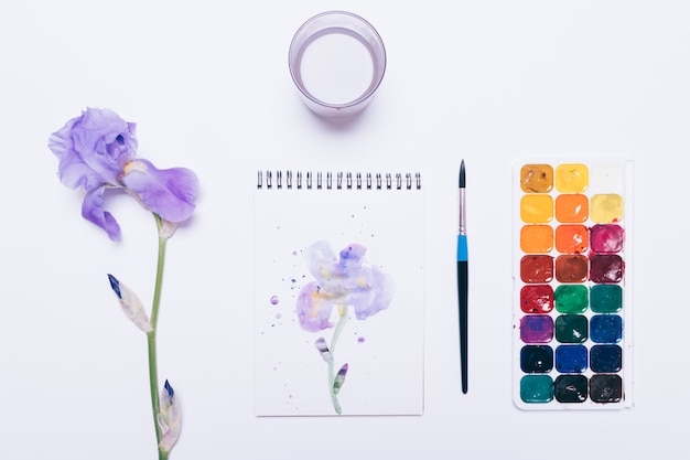 Aquarellfarbe, Pinsel, blaue Blume, Muster und Glas mit Wasser auf weißem Hintergrund