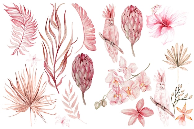 Aquarellfarbenes Hochzeitsrosa-Tropenset mit exotischen Blumen, Hibicsus-Orchideen-Protea und Palmblättern