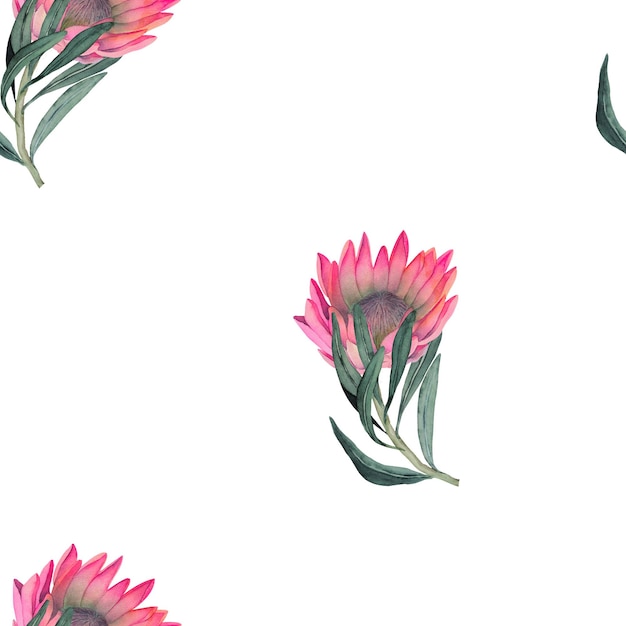 Aquarellfarbenes, nahtloses Muster mit magentafarbenem Protea-Blumenhintergrund, blühenden Blumen und Protea-Blättern