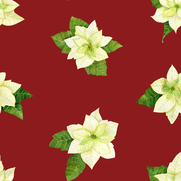 Aquarellfarbenes Weihnachtsblumenmuster Weiße Weihnachtssternzweige aus Fichte und Wintergrün