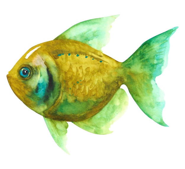 Aquarellfisch Hand zeichnen grüne Fischillustration isoliert auf weißem Hintergrund