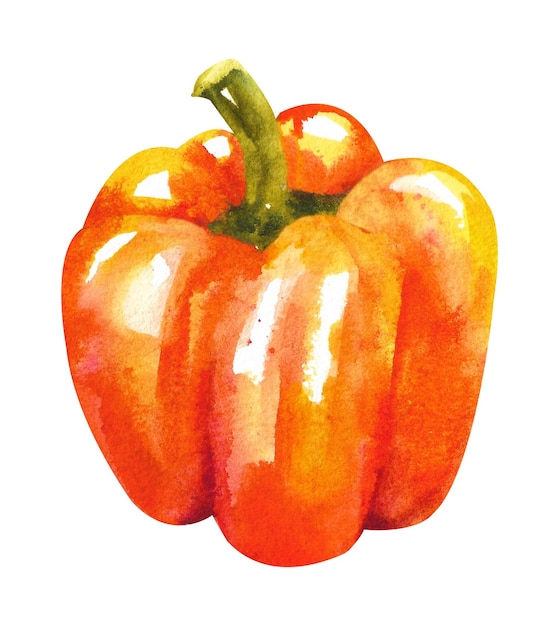 Aquarellgemüse Gelber Paprika auf weißem Hintergrund